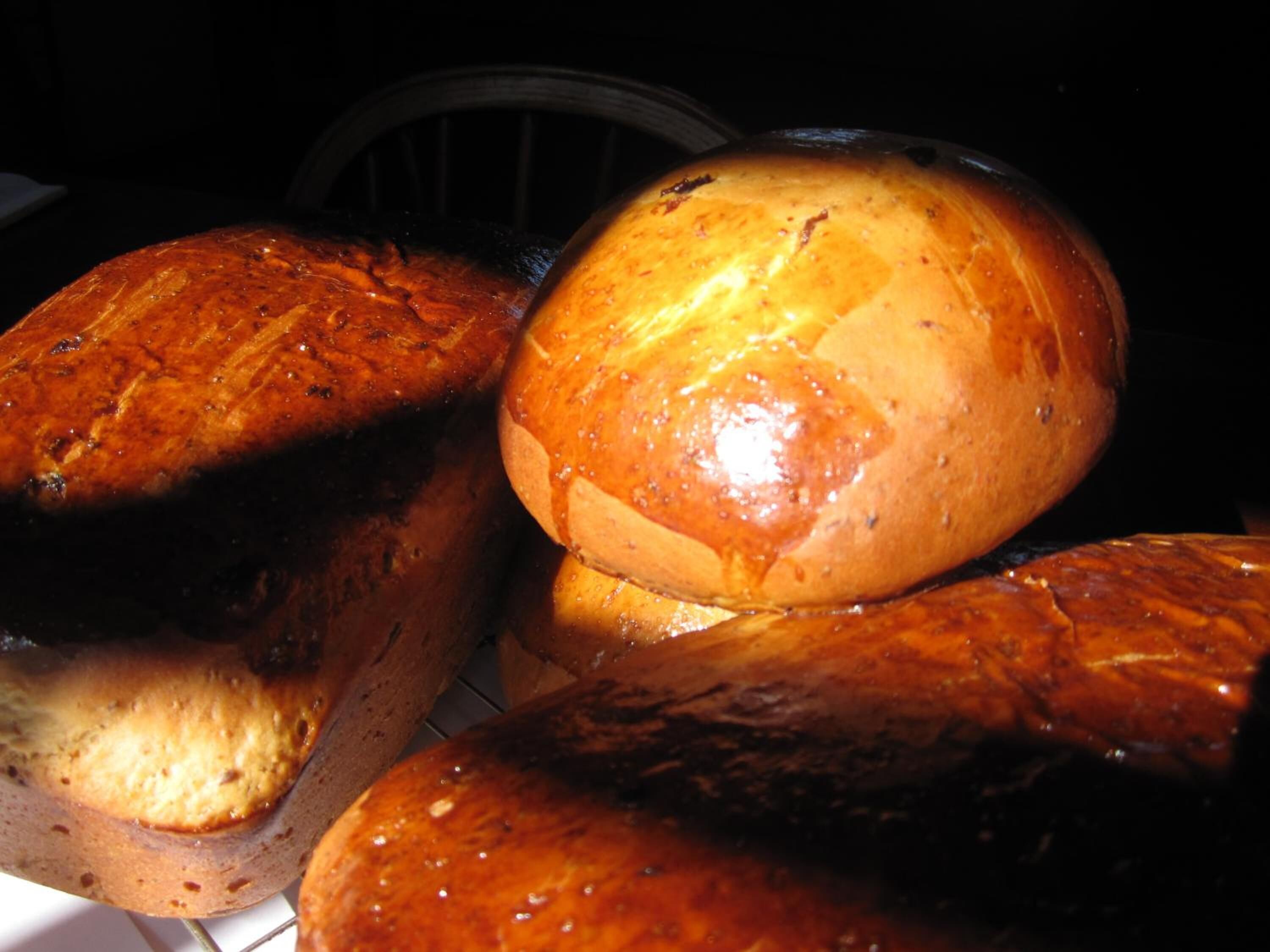 Una hogaza de pan con corteza brillante, sobre una rejilla de metal.