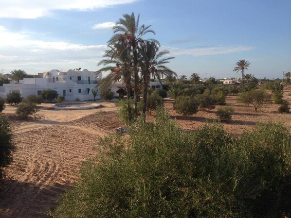 واجهة المنشأة