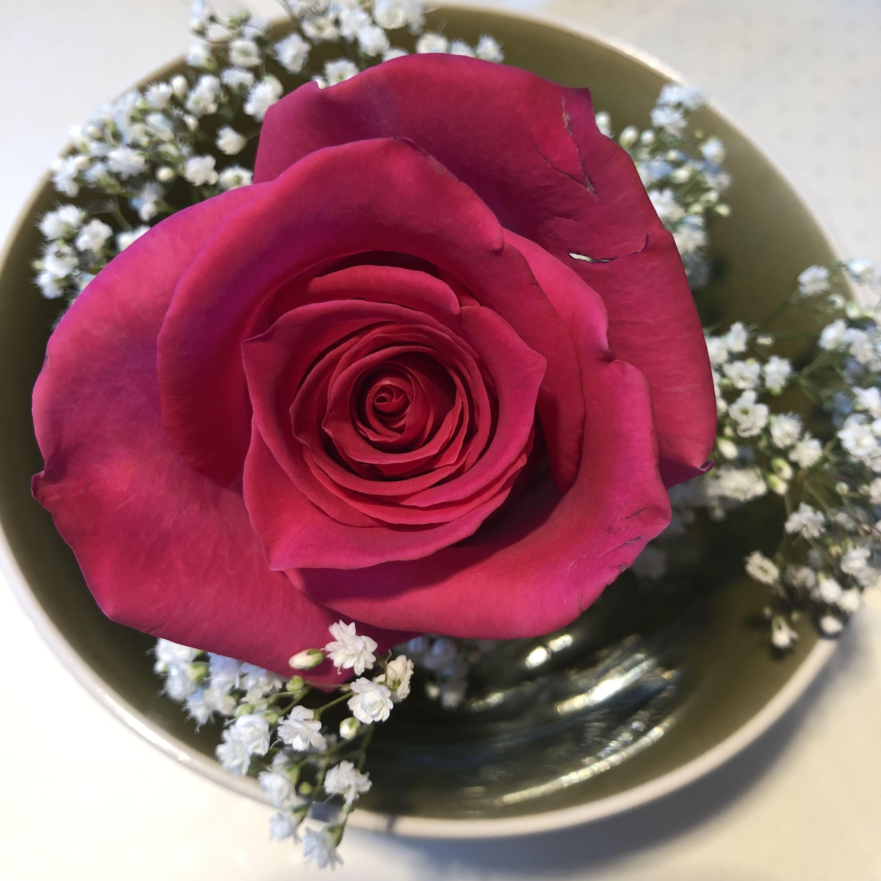 A single red rose in a green vase.