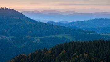 Vista panoramica su un paesaggio montuoso con fitte foreste e dolci colline.