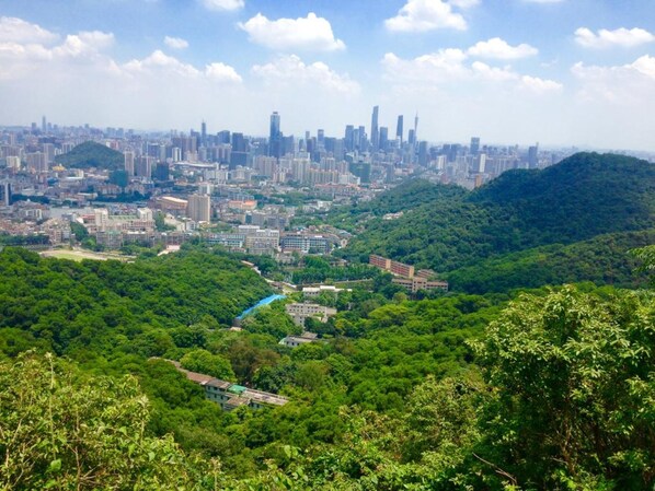 A cityscape with a dense urban area and a lush green valley.