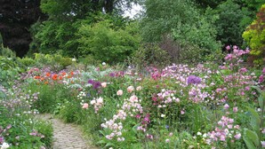 Un jardin agrémenté de diverses fleurs et doté d’un chemin bordé de briques.