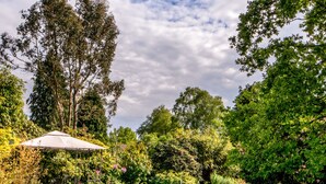 Un jardin à l’arrière de la maison, avec une piscine, entouré d’une végétation luxuriante et agrémenté d’une pergola.