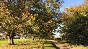 A pathway leading to a building surrounded by trees. - Cleatham Hall (Gainsborough)