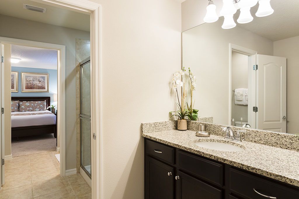 A bathroom with a granite countertop, a sink, and a mirror. There is a potted plant on the countertop.