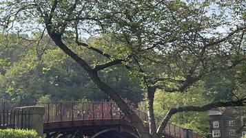 Vue depuis lâhĂ©bergement