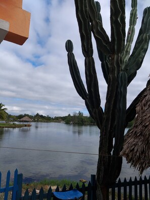 Surrounded by a tranquil body of water and a thatched-roof structure, this serene oasis offers a peaceful escape.