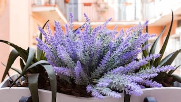 Casa, 2 quartos | Vista do quarto