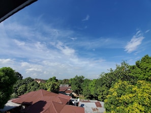 Un quartier résidentiel avec de nombreuses maisons, un ciel d’un bleu éclatant et de luxuriants arbres verdoyants.