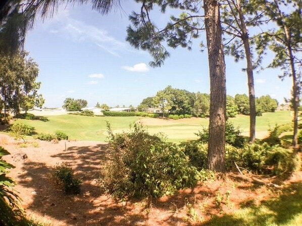 Appartamento | Vista giardino