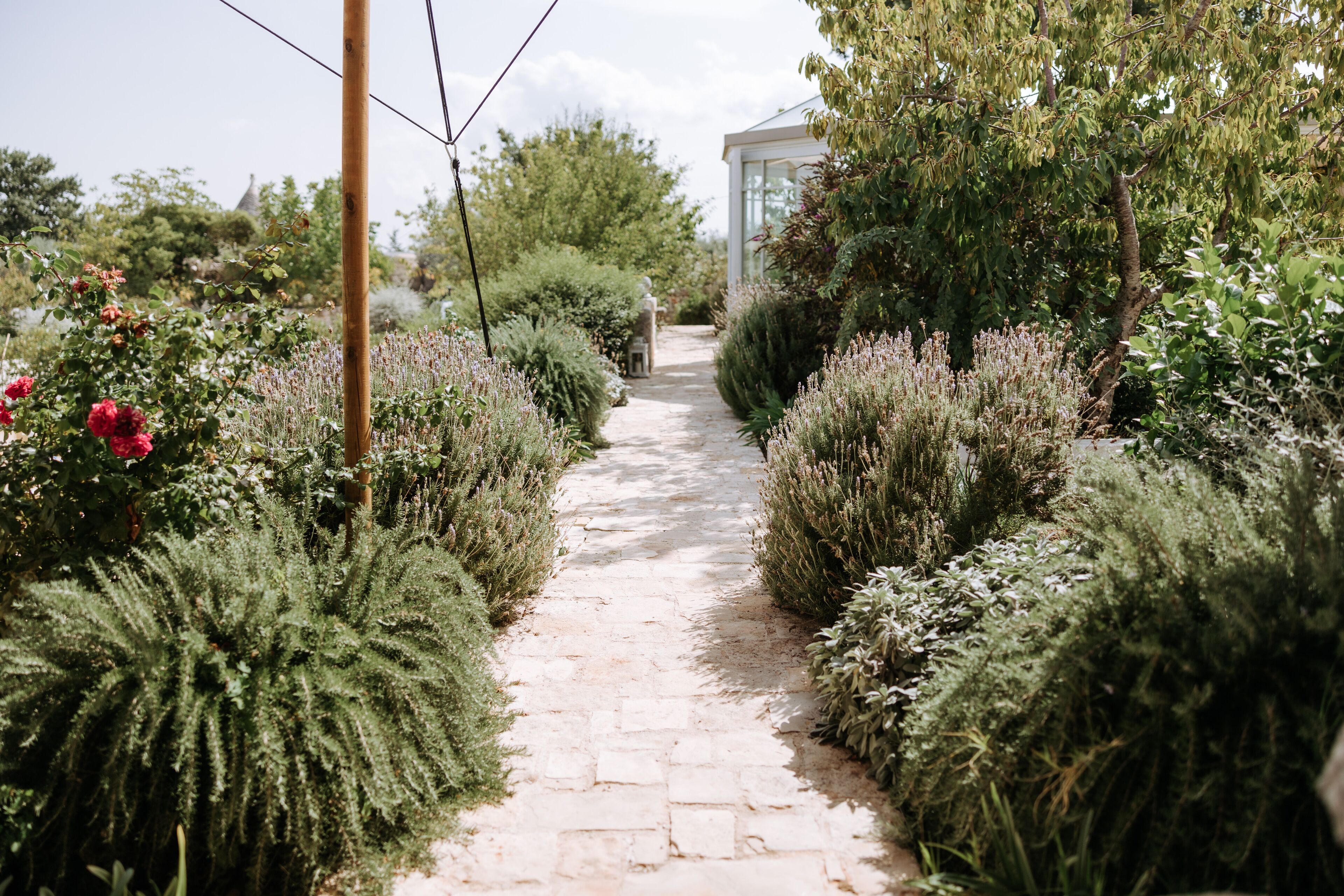 Photo - Tenuta del Lauro