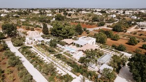 Vista aérea de una zona residencial con una casa grande que cuenta con piscina, jardín e invernadero.