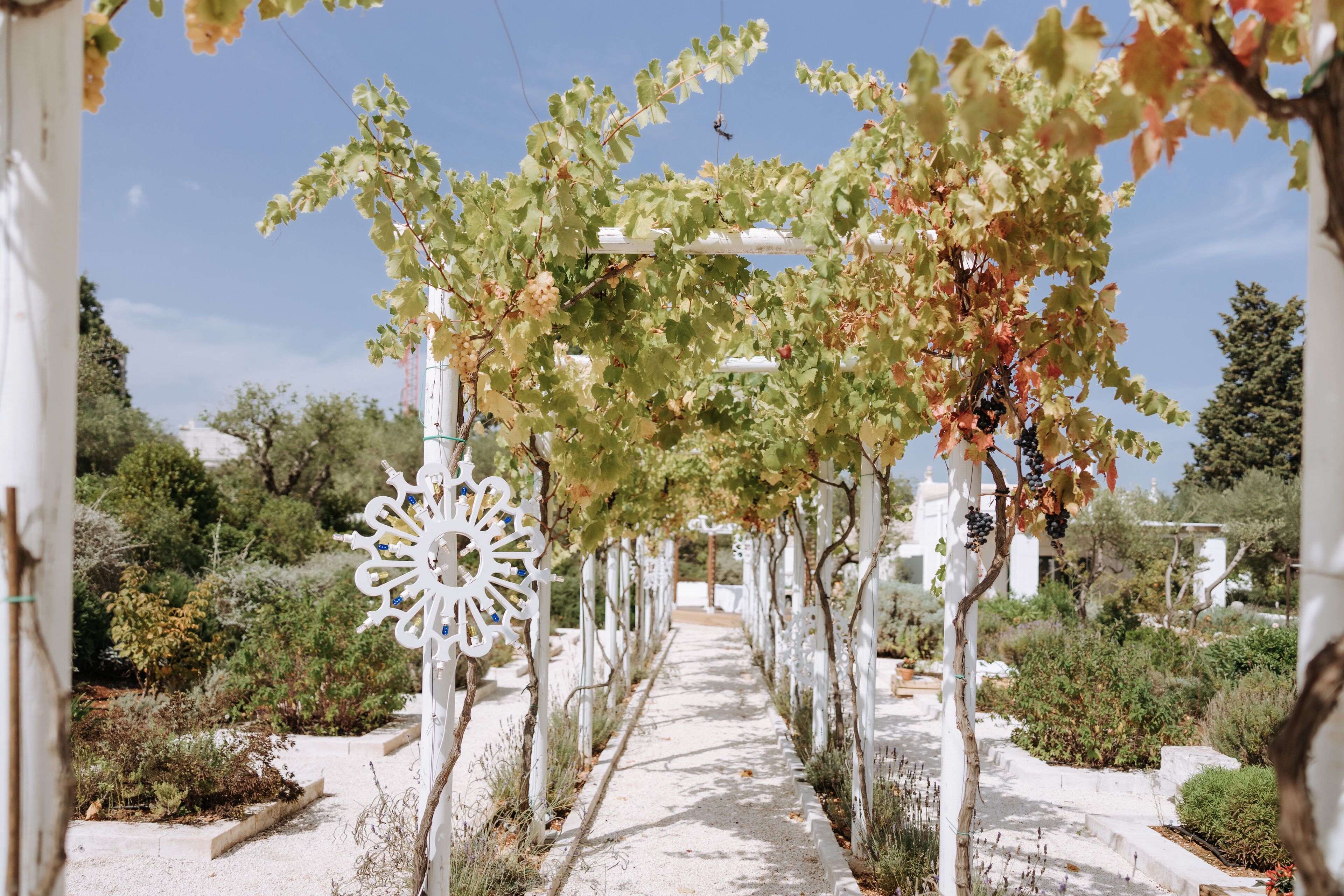 Entrada de la propiedad