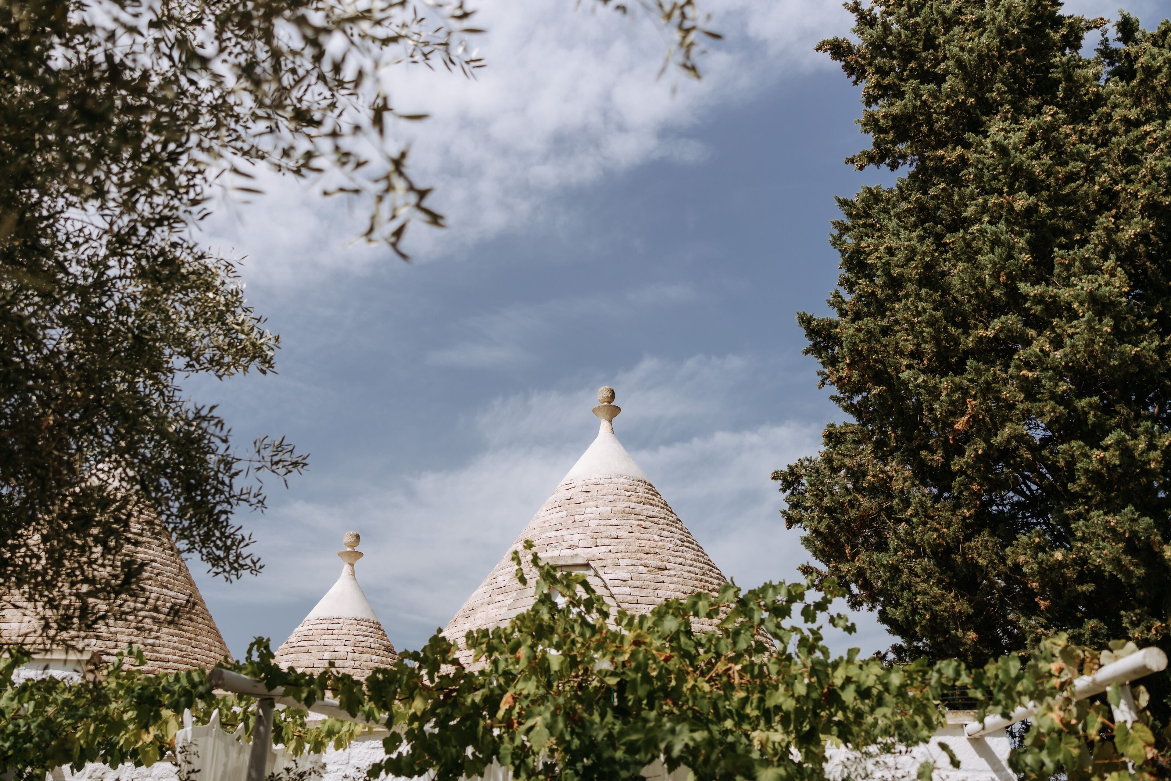 Photo - Tenuta del Lauro