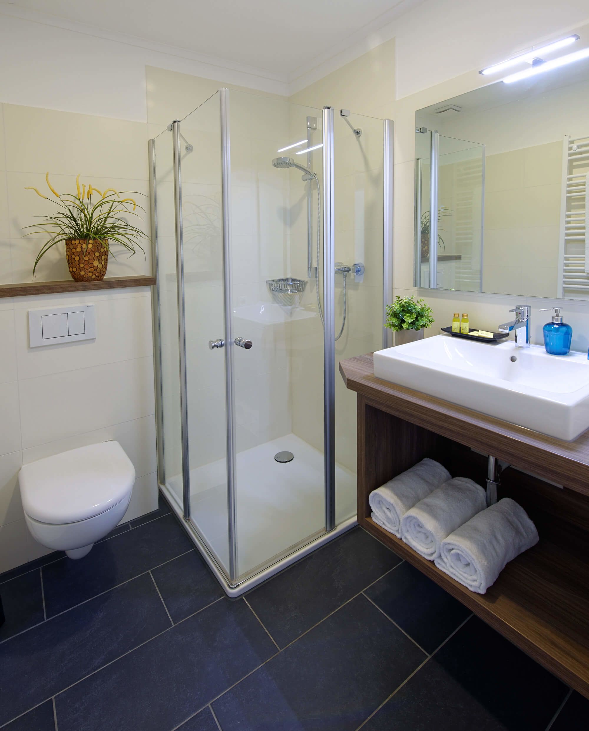 shower, free toiletries, hair dryer, towels