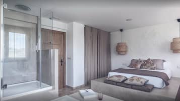 Suite | Escriptori, planxa i posts de planxar, wifi gratuïta i roba de llit