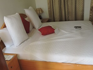 Deluxe Room | View from room - All Seasons Hotel (Patang West)