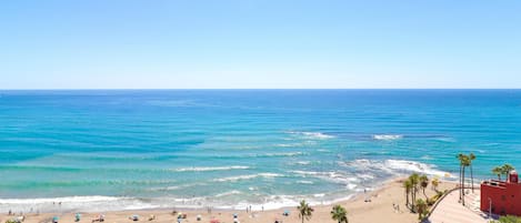 A beach with a clear view of the ocean, a sandy shore, and a few palm trees.
