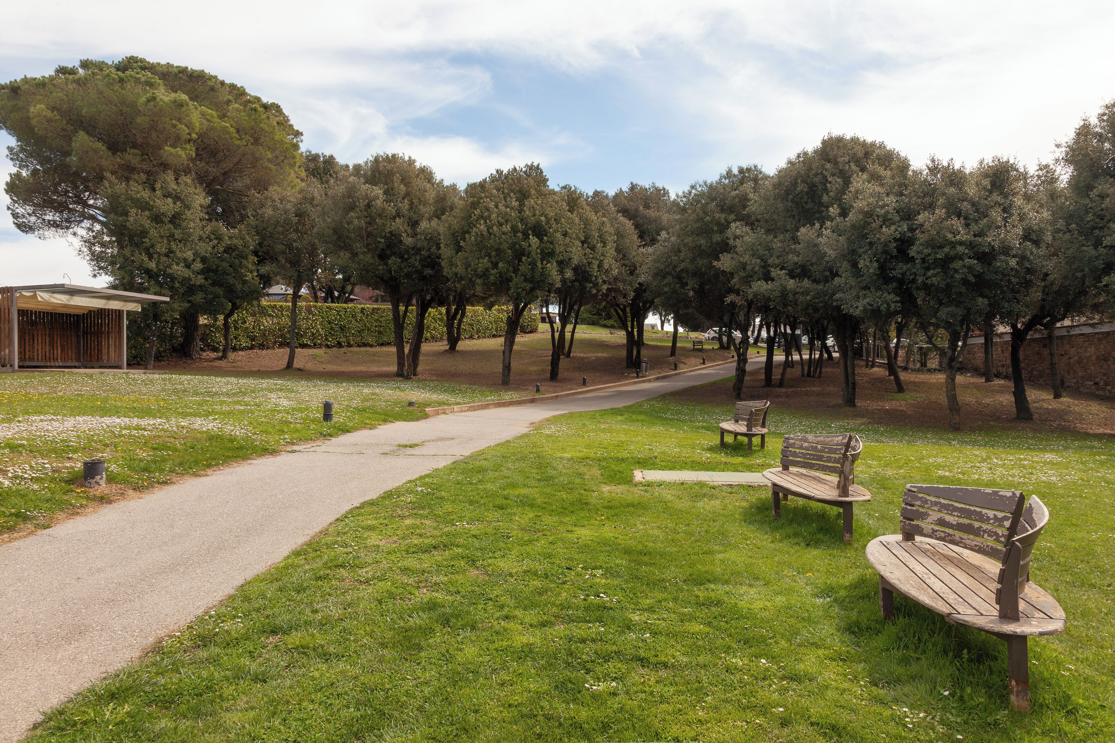 A park with a paved path, wooden benches, and a building in the background.