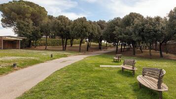A park with a paved path, wooden benches, and a building in the background.