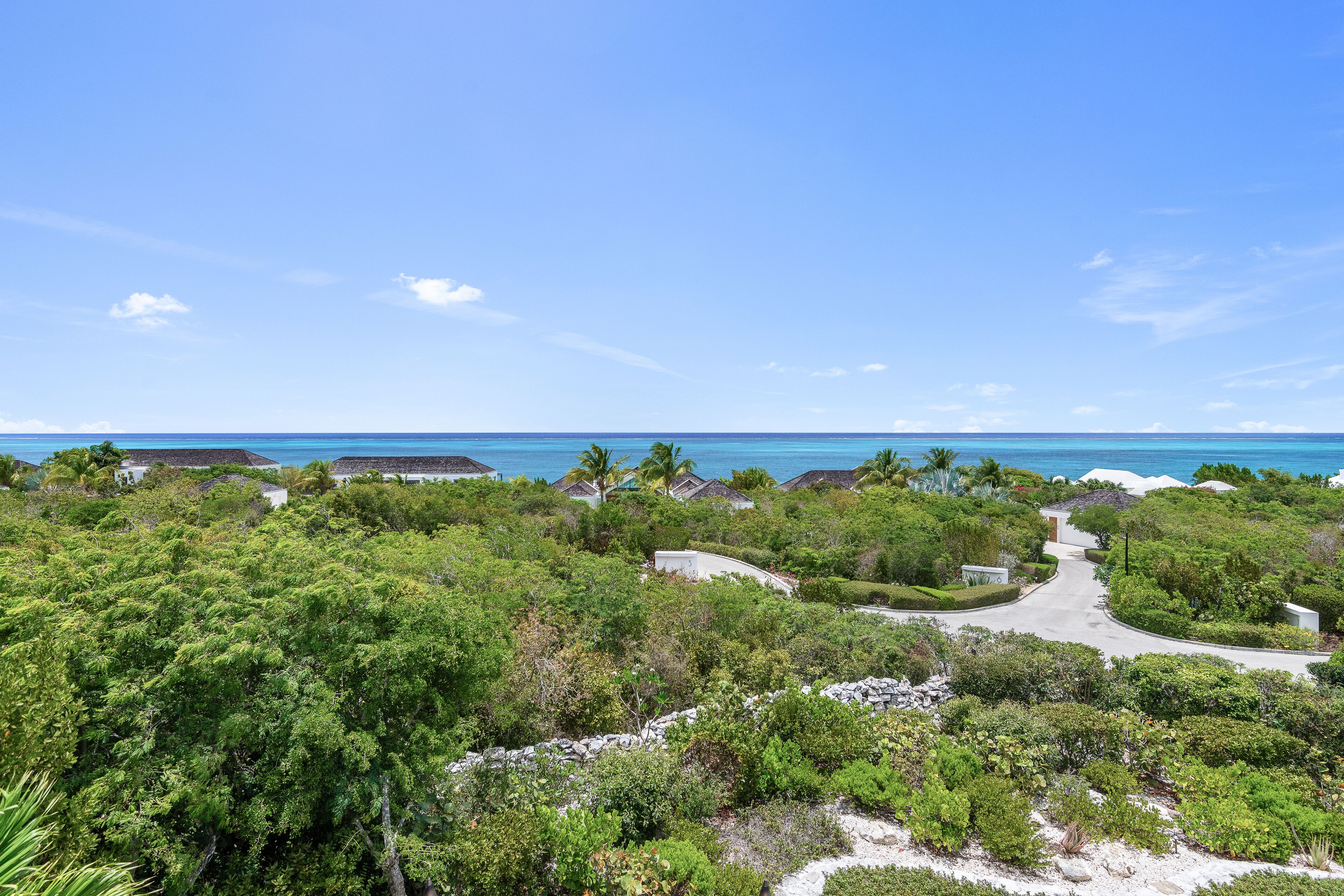 A tropical resort with lush greenery, a paved pathway, and a view of the ocean.
