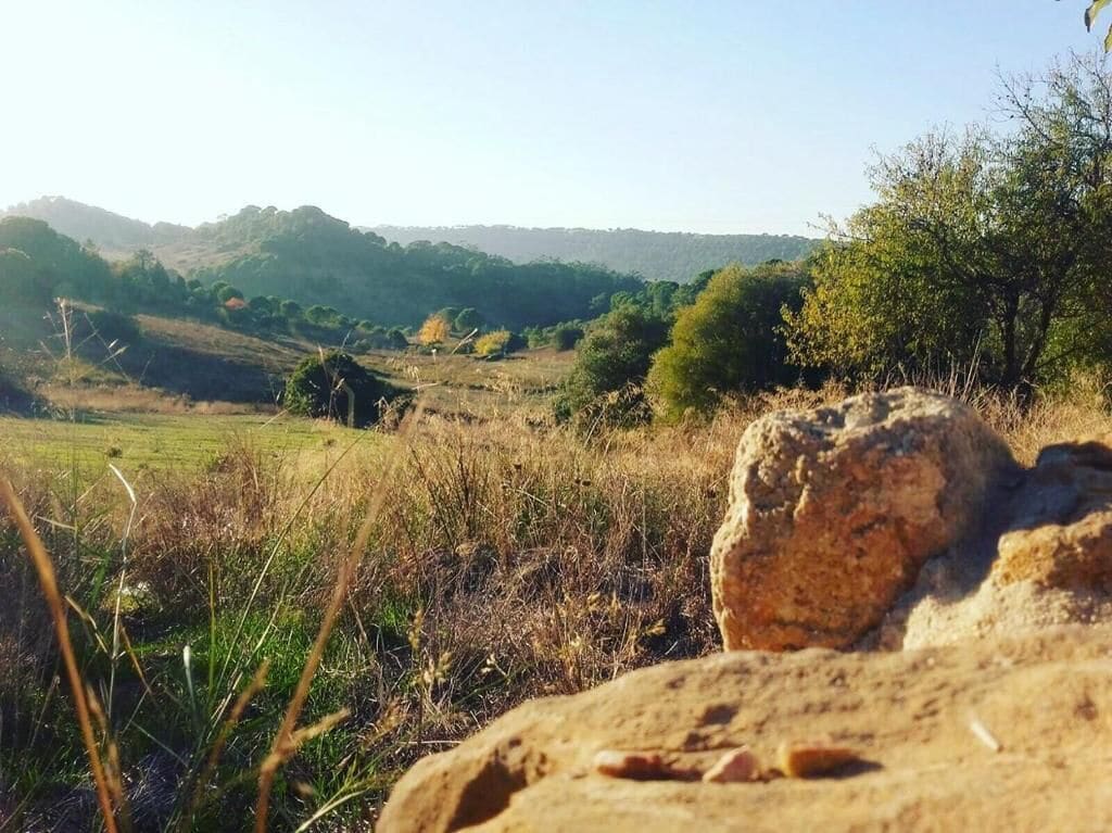 Photo - Biovilla Sustentabilidade