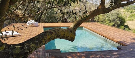 Seasonal outdoor pool, pool loungers