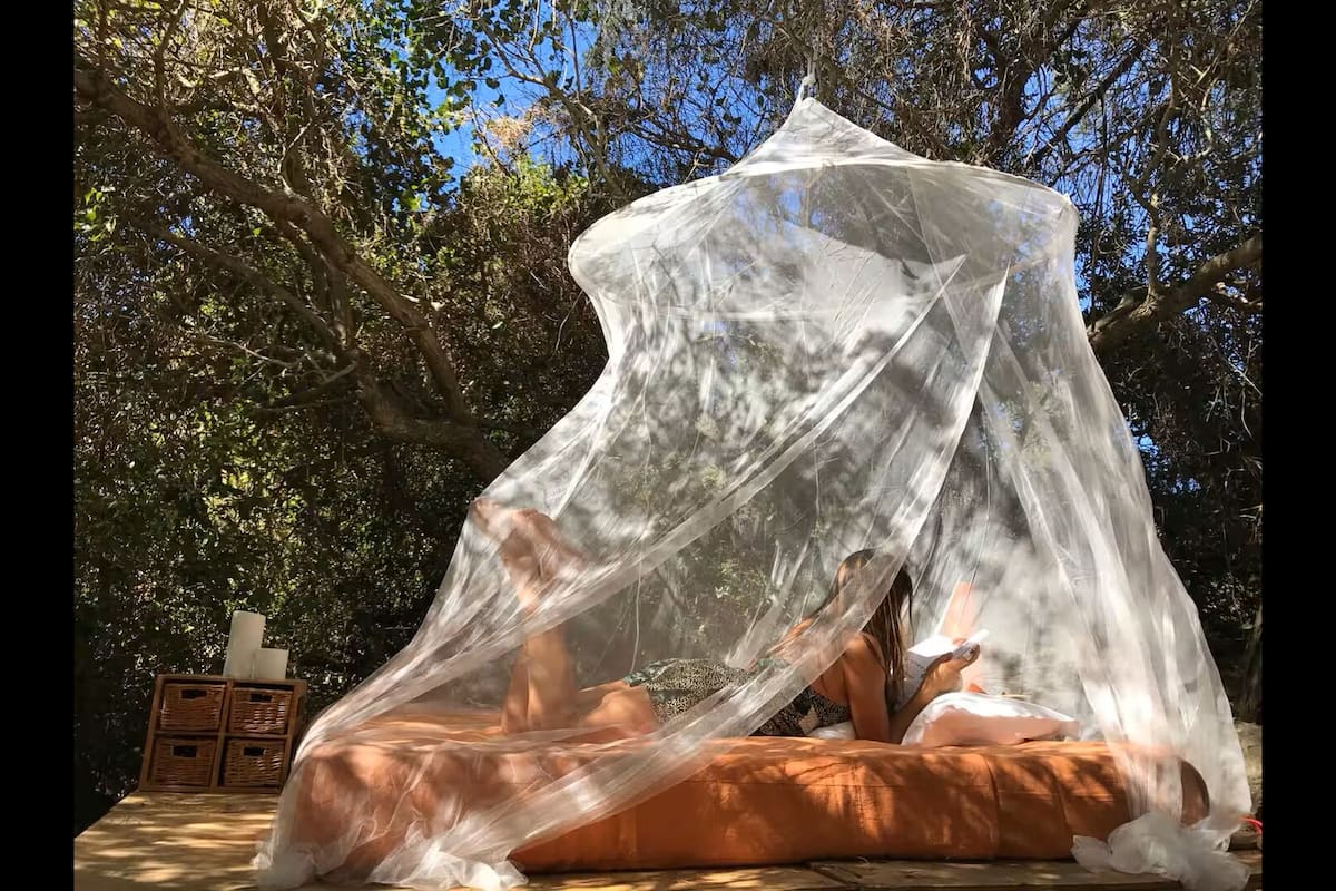 Design Tree House | 1 bedroom, blackout curtains, free WiFi, bed sheets