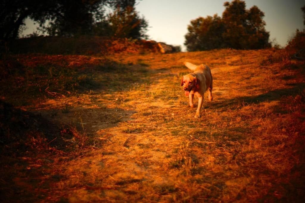 Photo - Biovilla Sustentabilidade