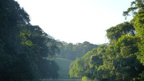 Vista des de l'allotjament