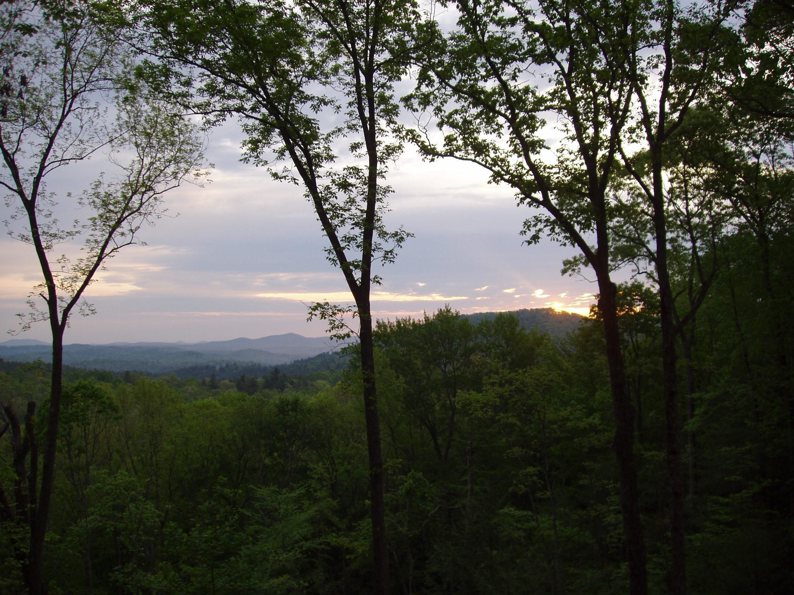 A forested landscape with a view of distant hills and a sunset.
