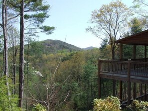 Apartment | View from property - Crockett Trails Nevaeh Cabin Rentals (Cherry Log)