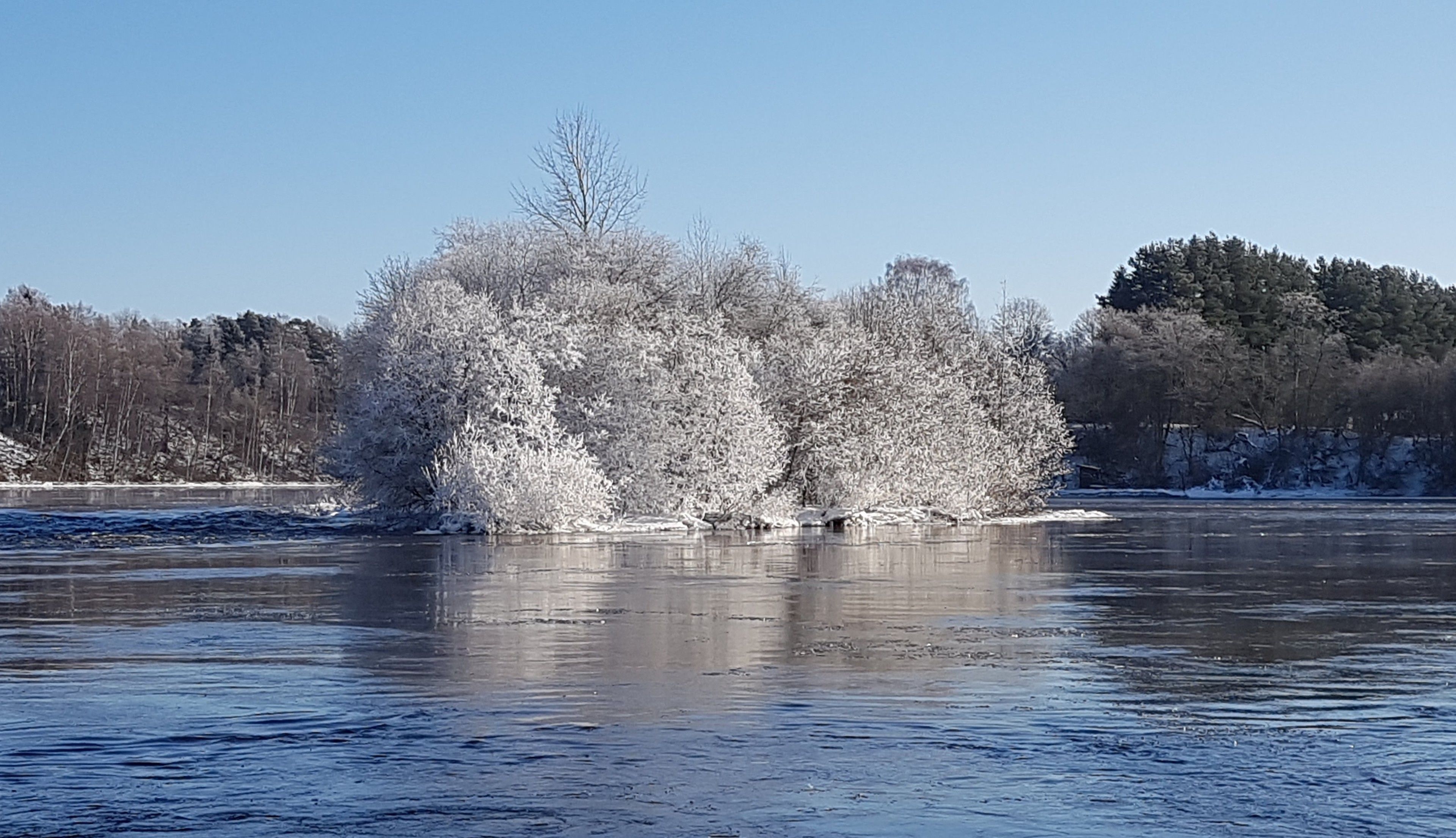 A frozen river with trees in the background.