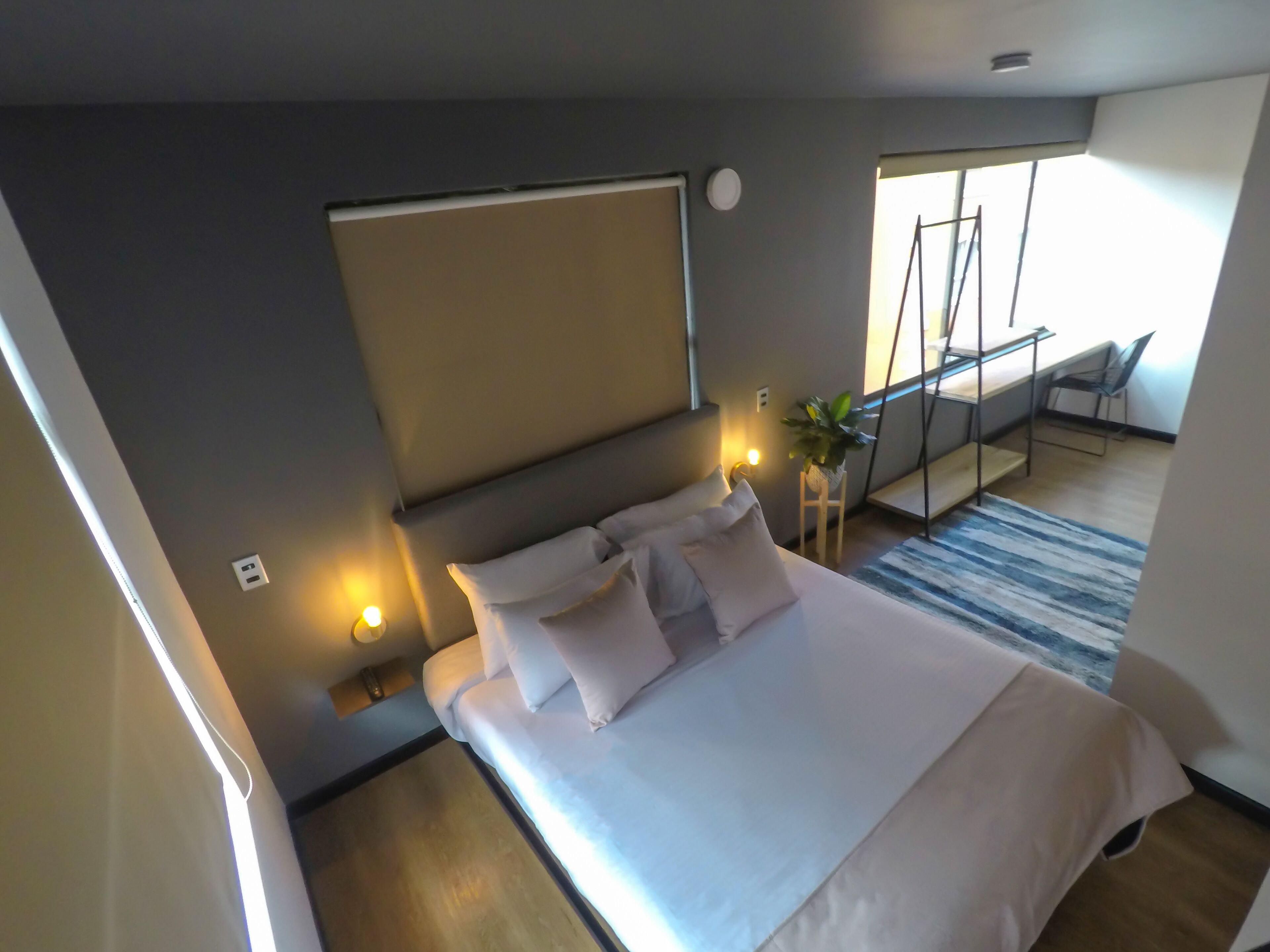 Ett modernt hotellrum med en stor säng, sänglampor, ett litet bord, en krukväxt och utsikt över omgivningarna.