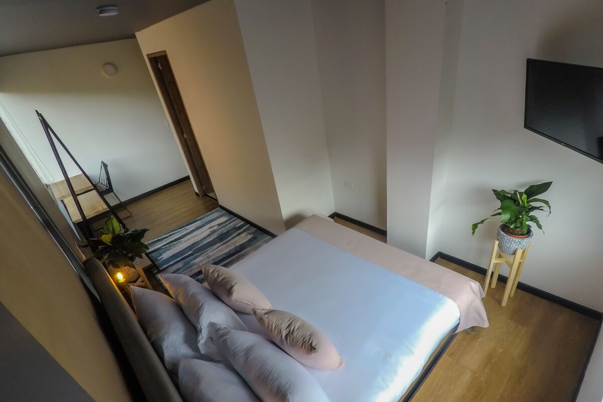 A modern bedroom with a large bed, a small potted plant, and a TV mounted on the wall.