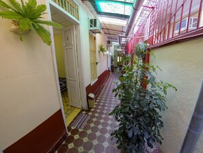 Ein schmaler Korridor mit gemusterten Bodenfliesen, einer Tür zu einem Zimmer und Topfpflanzen.