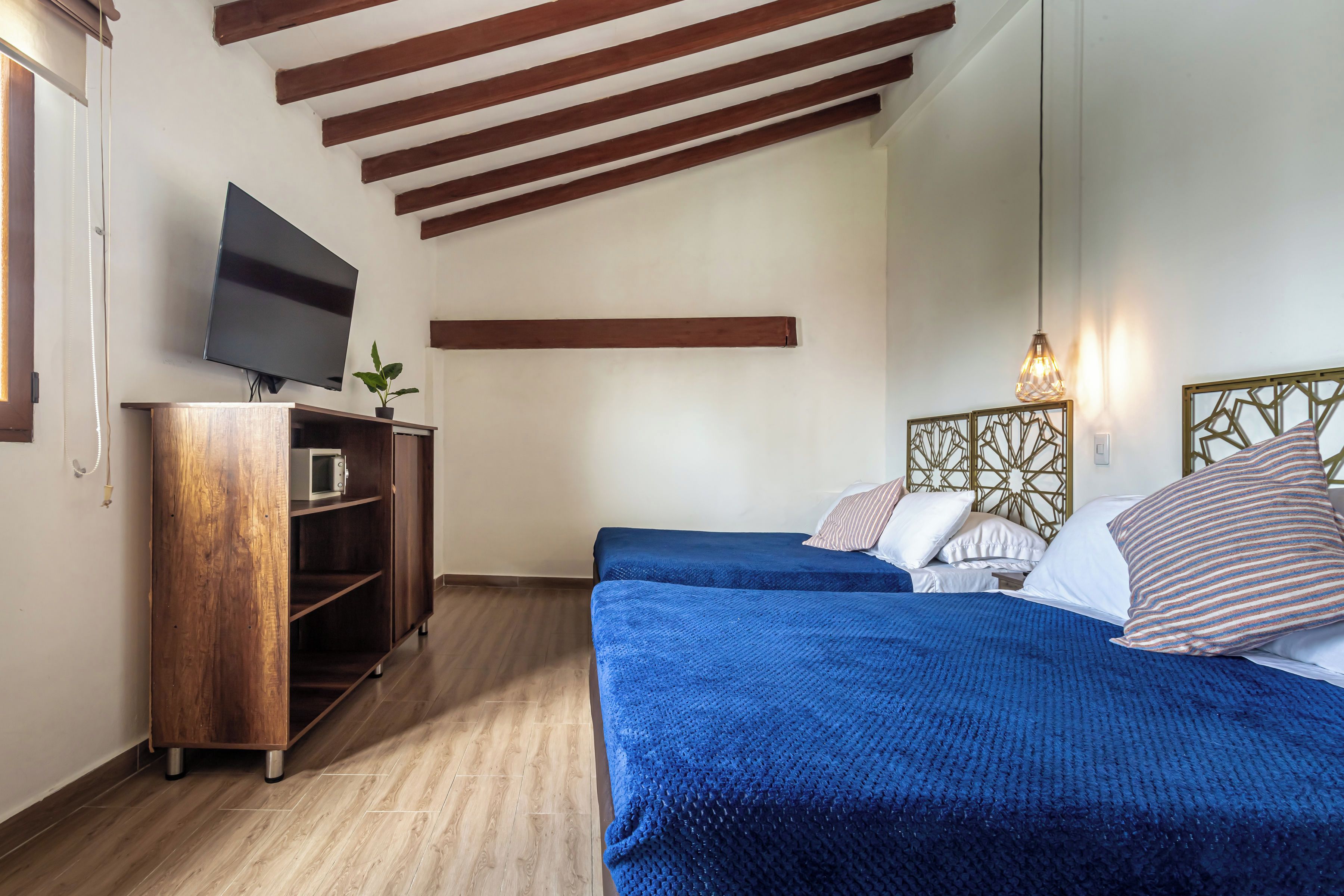 A bedroom with a bed, a TV, a wooden cabinet, and a hanging plant.