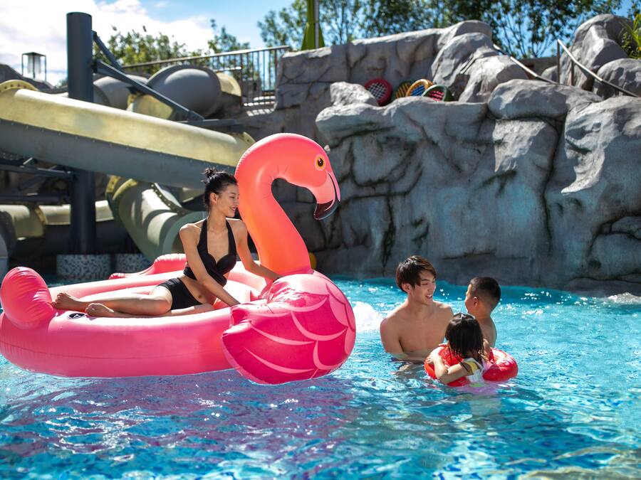 En pool med oppustelige flamingoer og et vandrutsjebane i baggrunden.