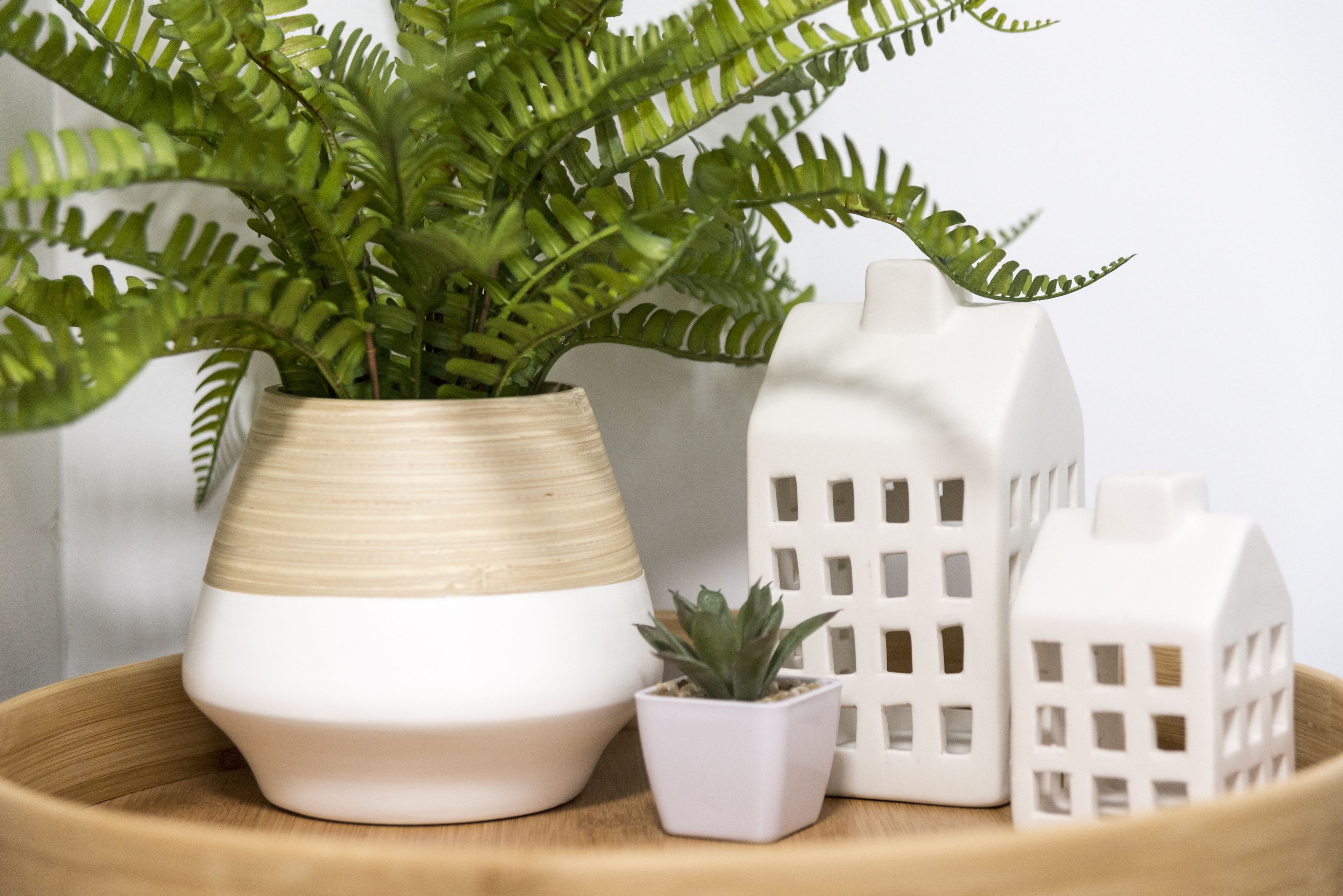 A potted fern, a small succulent, and two white house-shaped vases on a wooden tray.
