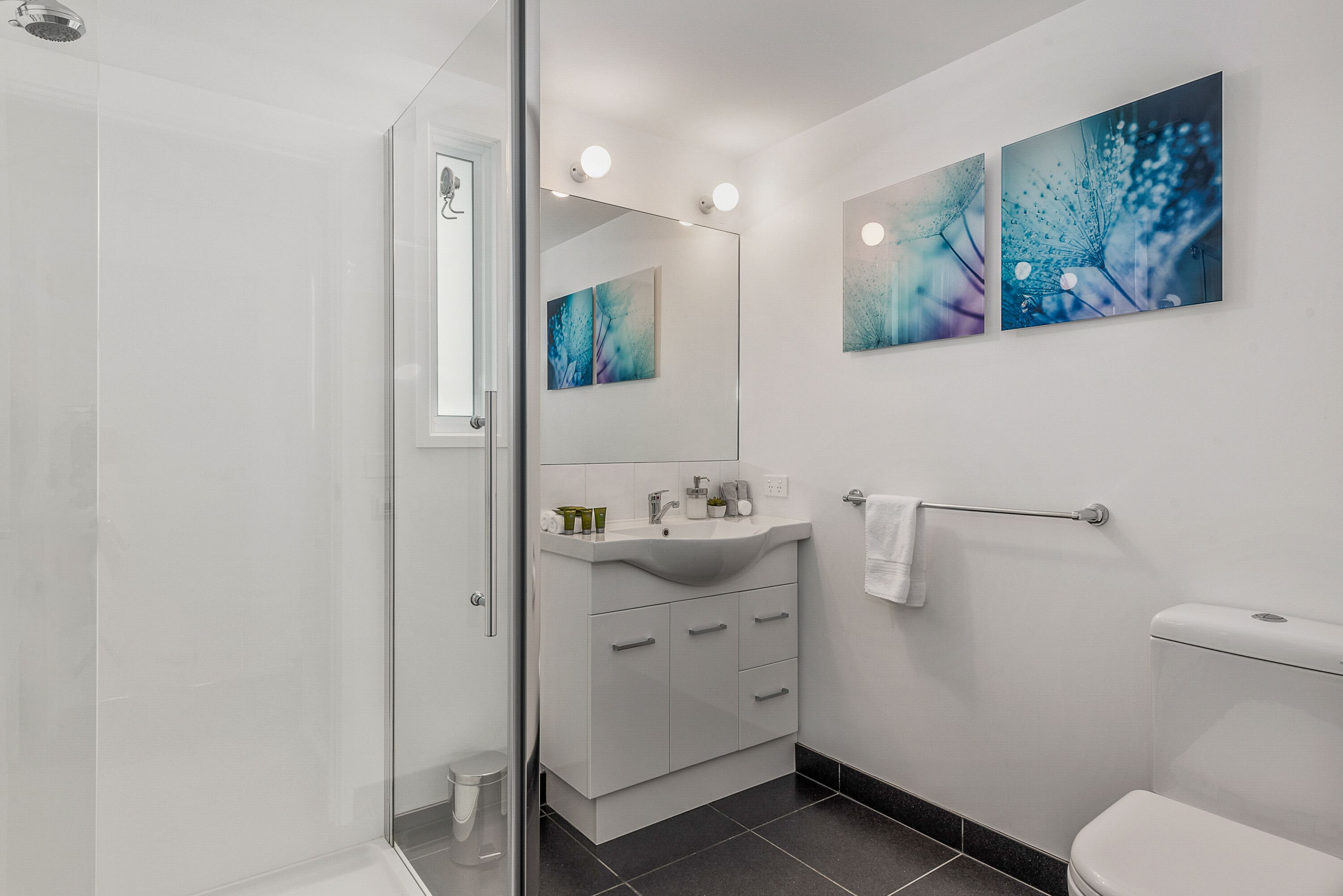 Ein modernes Badezimmer mit einer Duschkabine aus Glas, einem weißen Waschbecken mit Spiegel darüber und zwei abstrakten Bildern an der Wand.