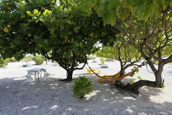 A tree with a hammock and a table under it, surrounded by gravel.