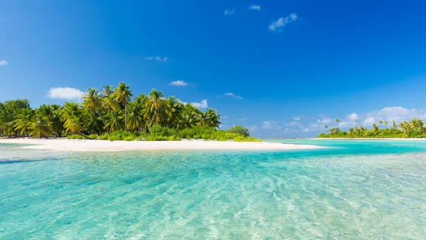 Ein Strand mit klarem türkisblauem Wasser, weißem Sand und Palmen.