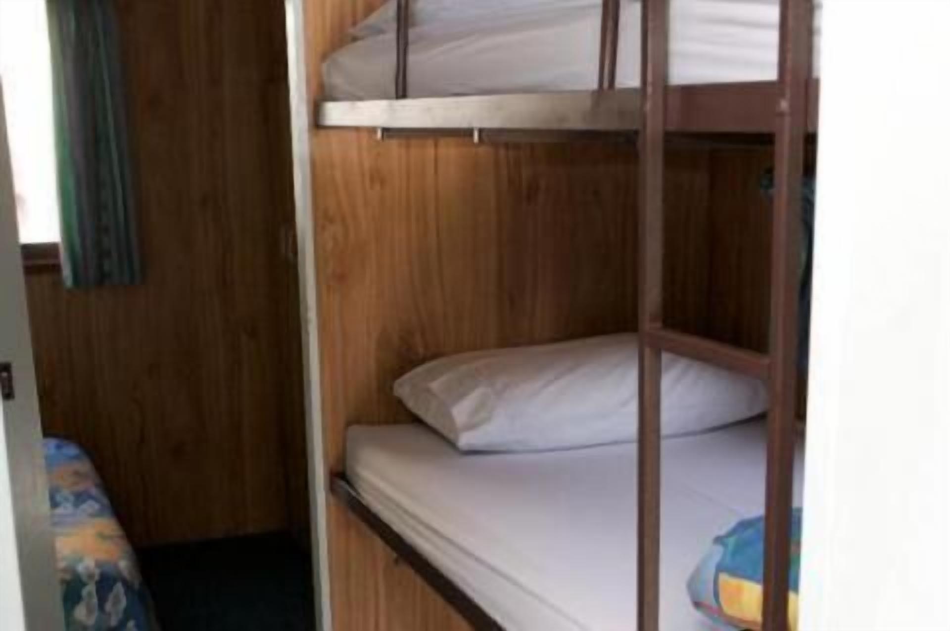 A bunk bed room with wooden walls and a single bed.