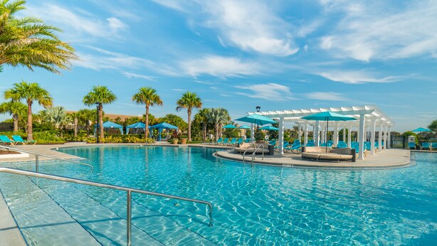 A large outdoor swimming pool with lounge chairs and umbrellas, surrounded by palm trees and a clear sky.