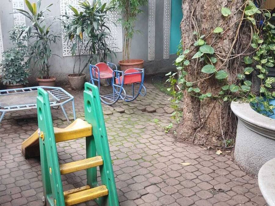 A courtyard with a small pool, potted plants, a wooden ladder, and outdoor furniture.