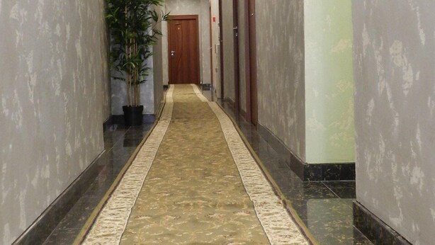 A hallway with a patterned carpet, a potted plant, and doors on both sides. - Guest House na Slobodskoy (St. Petersburg)