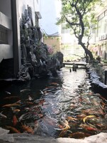 Um lago de carpas com uma cascata e formações rochosas ao redor.