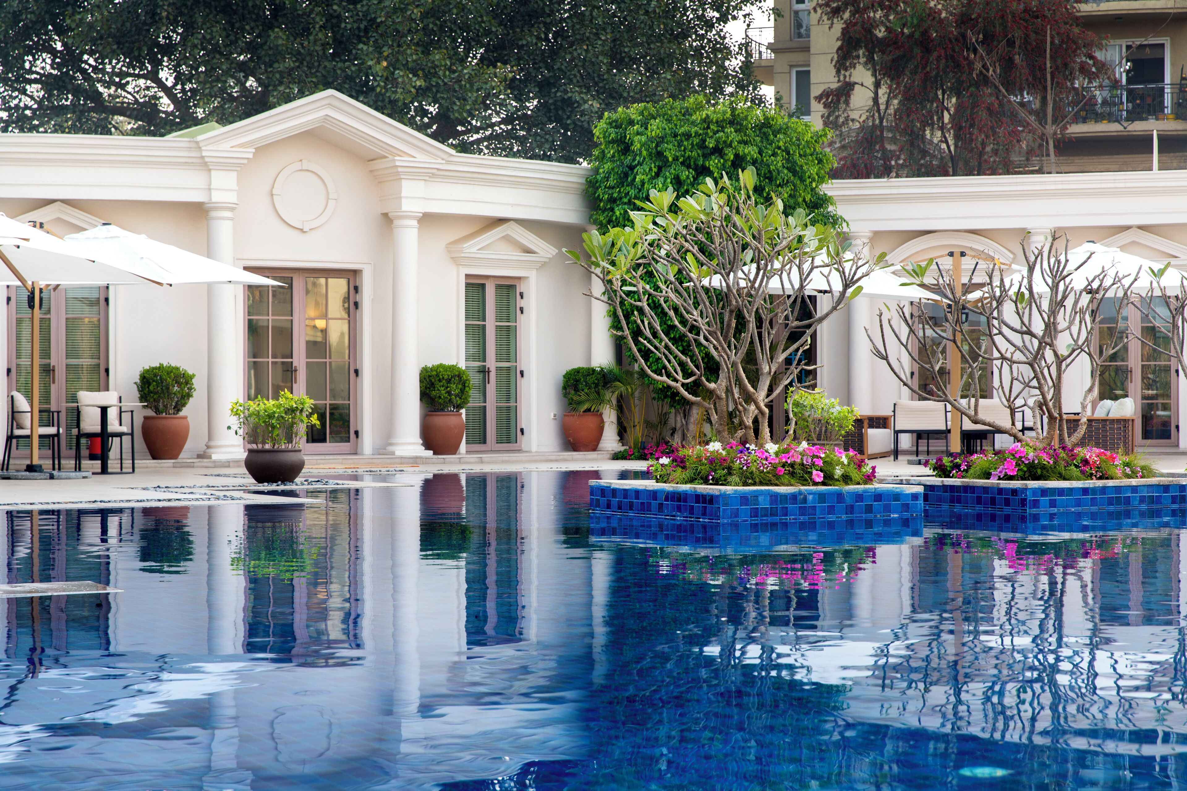 A pool with clear water, surrounded by potted plants and flowers, and a building with a classic architectural style.