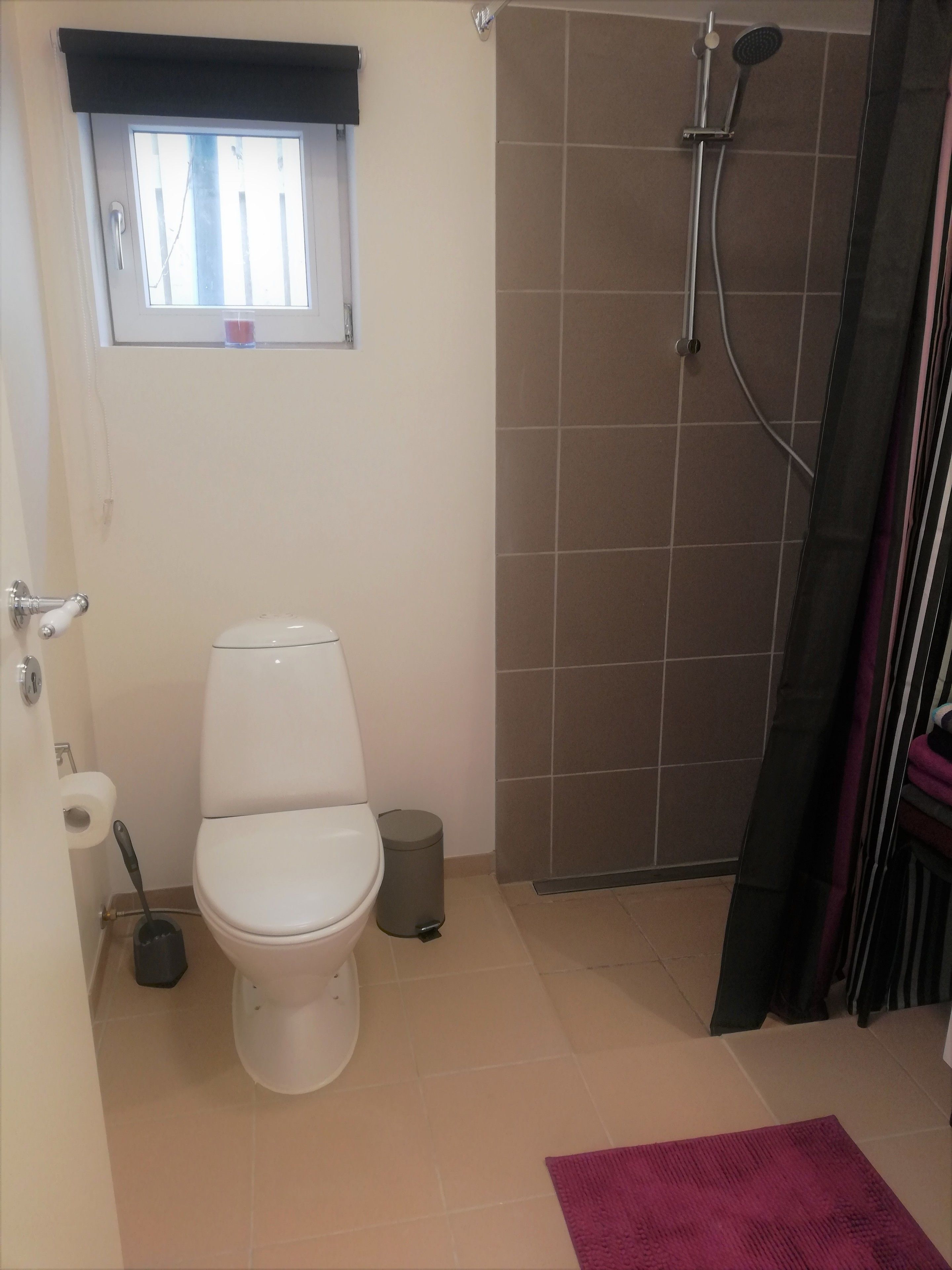 basic apartment, multiple beds | bathroom | shower, free toiletries, towels
