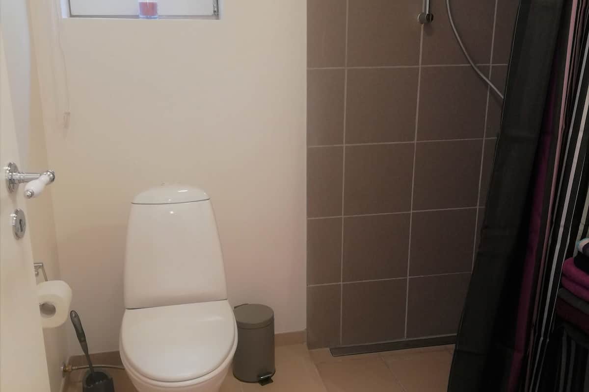 basic apartment, multiple beds | bathroom | shower, free toiletries, towels